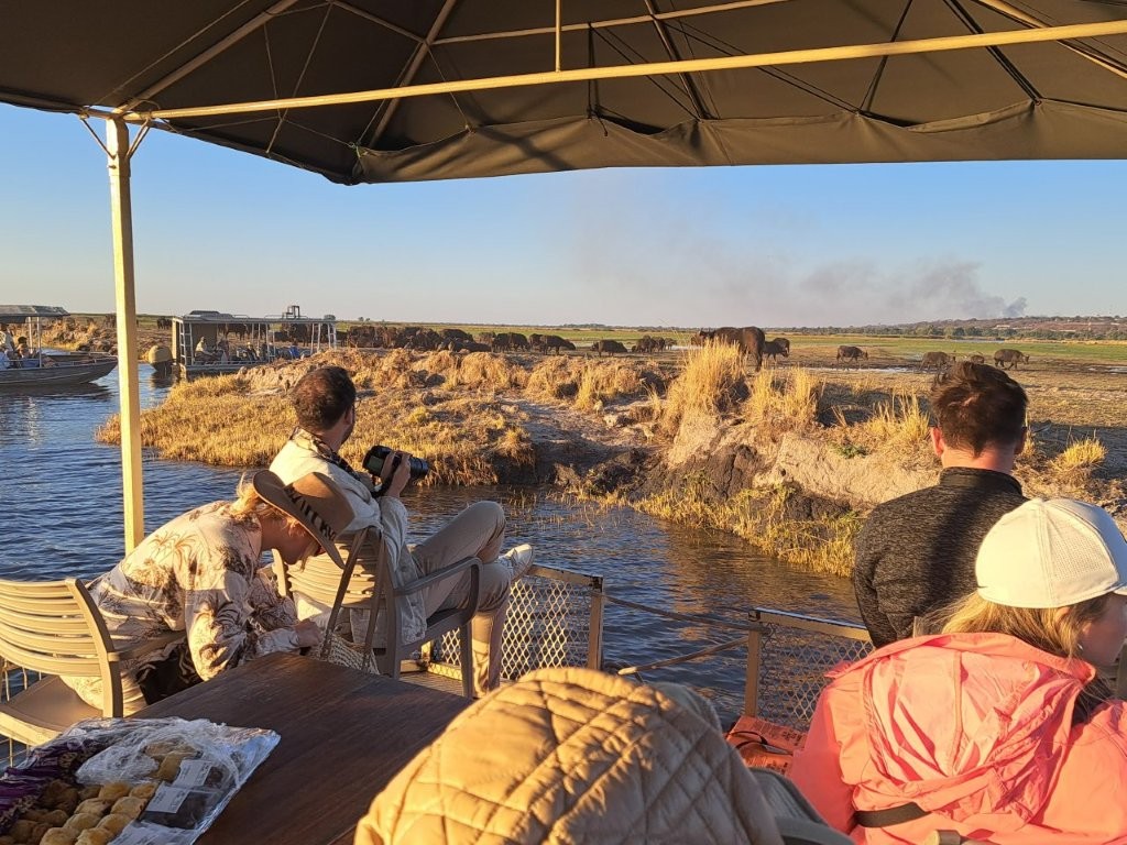 Croisiére sur la riviere Chobe